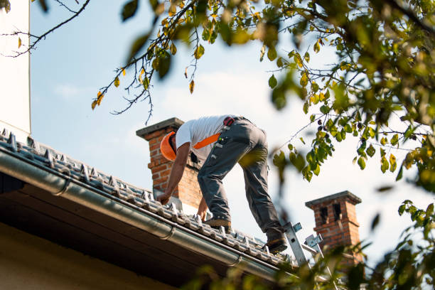 Best Chimney Flashing Repair  in West Lafayette, OH
