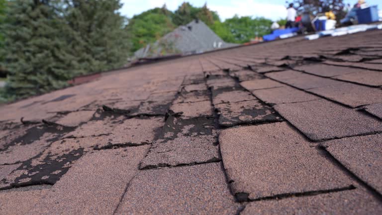Best Gutter Installation and Repair  in West Lafayette, OH
